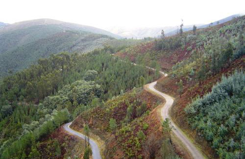 Casa das Oliveiras - Foto 17