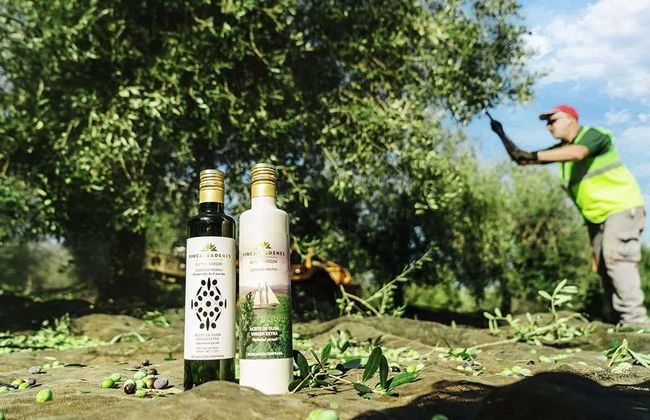 Visita à fazenda Badenes - Aires de Jaén com degustação de azeites - Foto 6