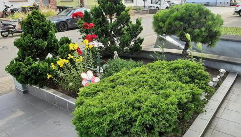 Ferienwohnung Andreea - Foto 5