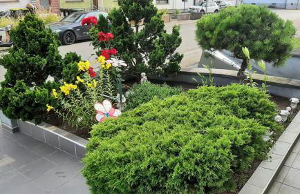 Ferienwohnung Andreea - Foto 5