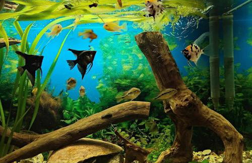 U Lubockich - Foto 11