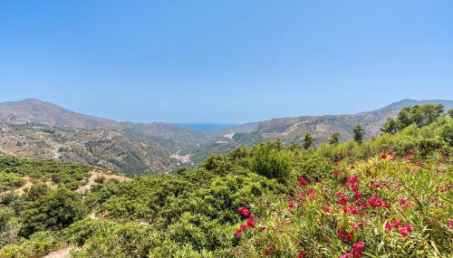 Cortijo La Alberquilla - Foto 4