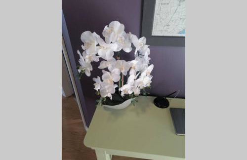 Island View - Foto 34