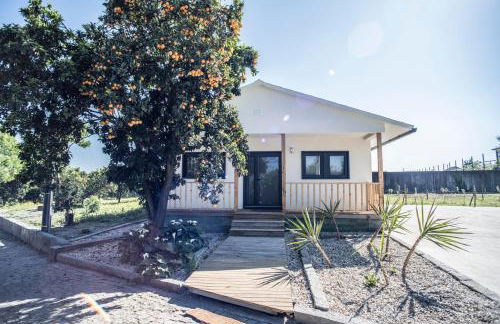 Quinta Do Pomar Pomar Farm - Foto 5