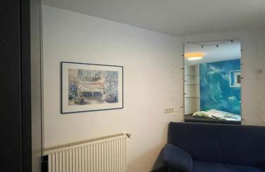 Rheintal-Wald-und Weitsicht - Foto 8