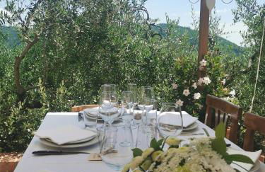 Monte A Pescia - Foto 43