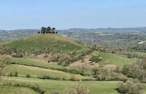 The Billy Shed - Photo 25