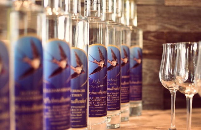 Apartment in St. Stefan im Rosental - Foto 19