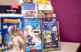 Dachgeschosswohnung mit Klimaanlage-15min vom Europa Park entfernt - Foto 23