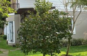 Desfrute do sossego da Vila Suzana - Foto 6