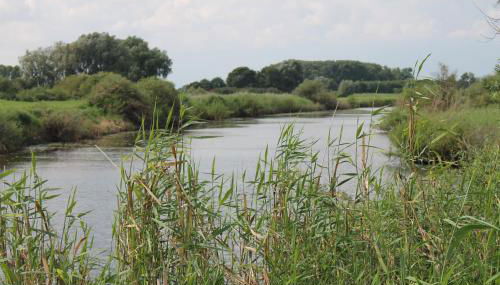 Ferienwohnung Villa Lütt - Foto 3