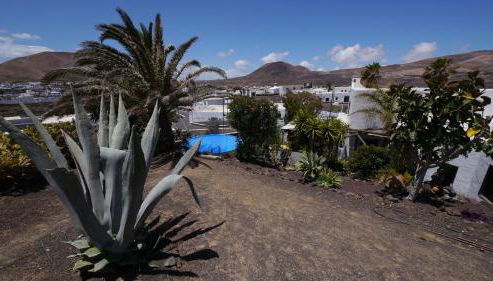 Finca Lanzarosy - Photo 4