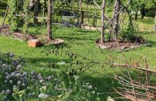 Ruralna kuća za odmor Pozojova hiža - Rural Holiday House - Foto 51