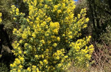 Gîte Le COCON au Clarou - Photo 36