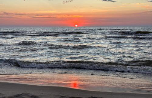 Morski Las - Foto 47