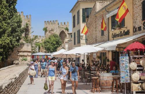 Designer Alcanada - Foto 26