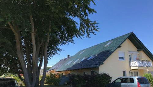 Wood in Zempin/usedom - Foto 3, Other