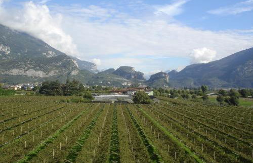 Le Servite Apartments - Foto 54