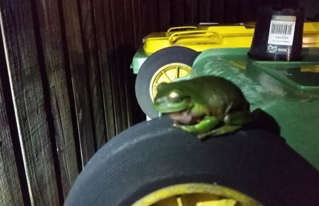 The Beach Place - Foto 37