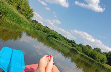 Leśny Domek - Foto 33