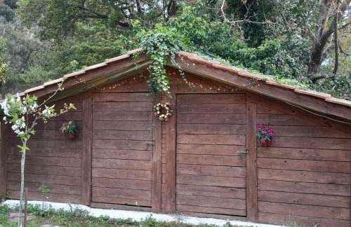 The Lake House'' -Trichonida Lake - Foto 33