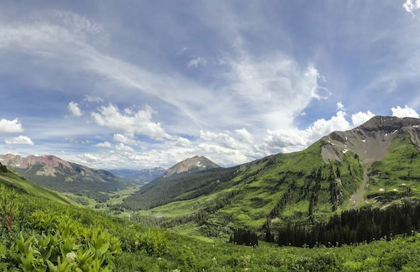 Earhart Crested Butte - Foto 40