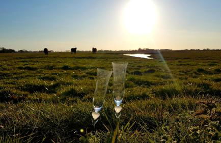 Heimathafen - Foto 13