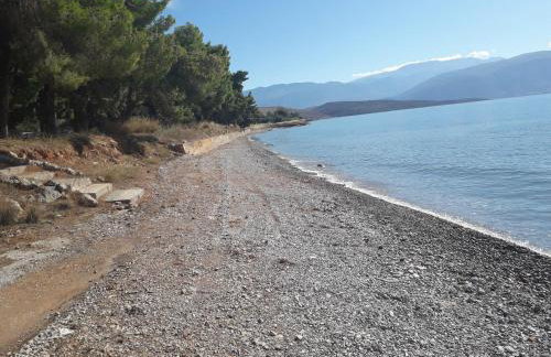 Elea Guesthouse - Photo 9