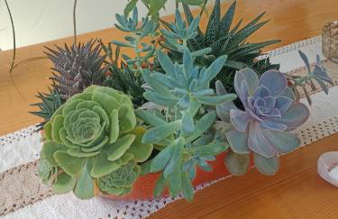 App Bonić - Foto 49