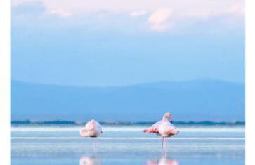 à 5mn de la réserve Africaine, charmante maison de village avec patio - Foto 18
