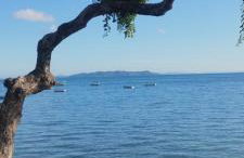 Lucy teles - Foto 23