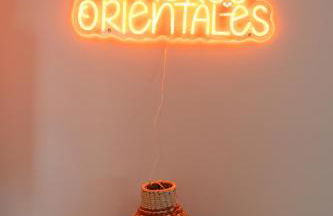 Les Rivières O'rientales Homerepublique à Cravant avec Jacuzzi - Foto 13