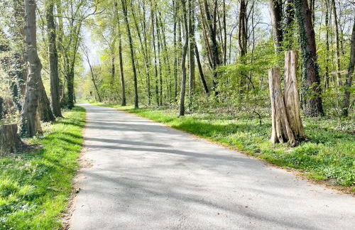 M-Style 02 Apartment mit Balkon 24h Self-Check-In, Free Parking, Netflix - Foto 27