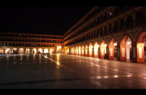 Golondrina - Foto 36