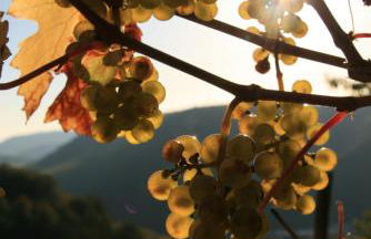 Appartement Familie Ernst - Foto 13