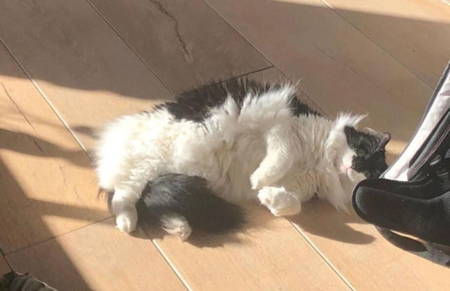 Feriendorf am Weinberg, Dobbrikow - Foto 35