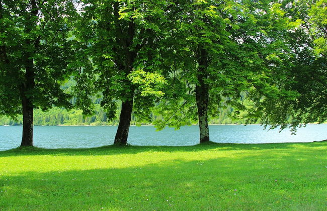 Serene Apartment in Bohinjsko Jezero near Ski Lift - Foto 22