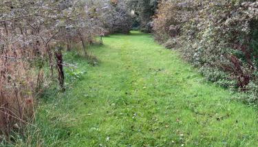 Moors Wood Relaxing ,Tranquil retreat with Hot Tub - Foto 2