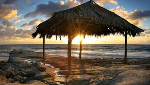 Sunny Gardens A Classic La Jolla Beach Home Close to Wind n Sea Beach - Foto 4