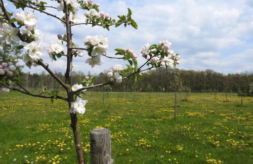 Ferienhof Olbasee - Foto 39