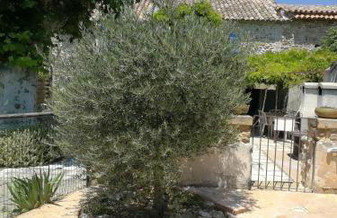 Appartements - Le Mas des Oliviers - Foto 24