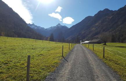 Ferienwohnung am Eichwald - Photo 43