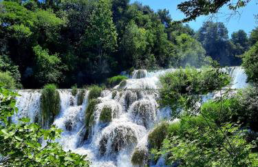 Rural Villa Olive Krka- 4 bedrooms, 3 bathrooms, private pool, park Krka 10 min - Foto 51