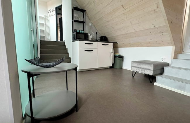 Family Apartments Černice - Foto 29