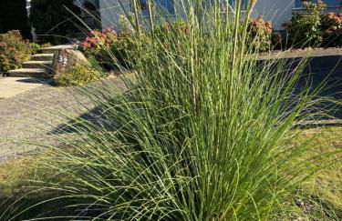 Ferienwohnung -Diemelaue- - Foto 18