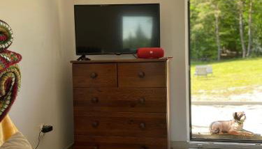 Winnica Bracia Petrasz - Foto 5