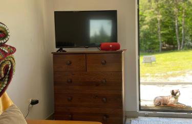 Winnica Bracia Petrasz - Foto 5