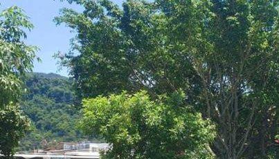 Cantinho em São Sebastião - Foto 4