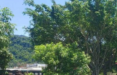 Cantinho em São Sebastião - Foto 4