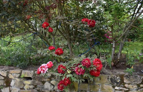 Le Clos Crista Galli - Foto 24